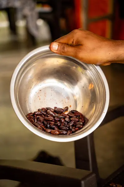 Tour Yaya Cacao Experiencia del Cacao al Chocolate