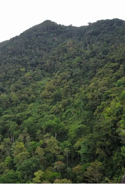 Tour Huila Más Allá De Las Montañas